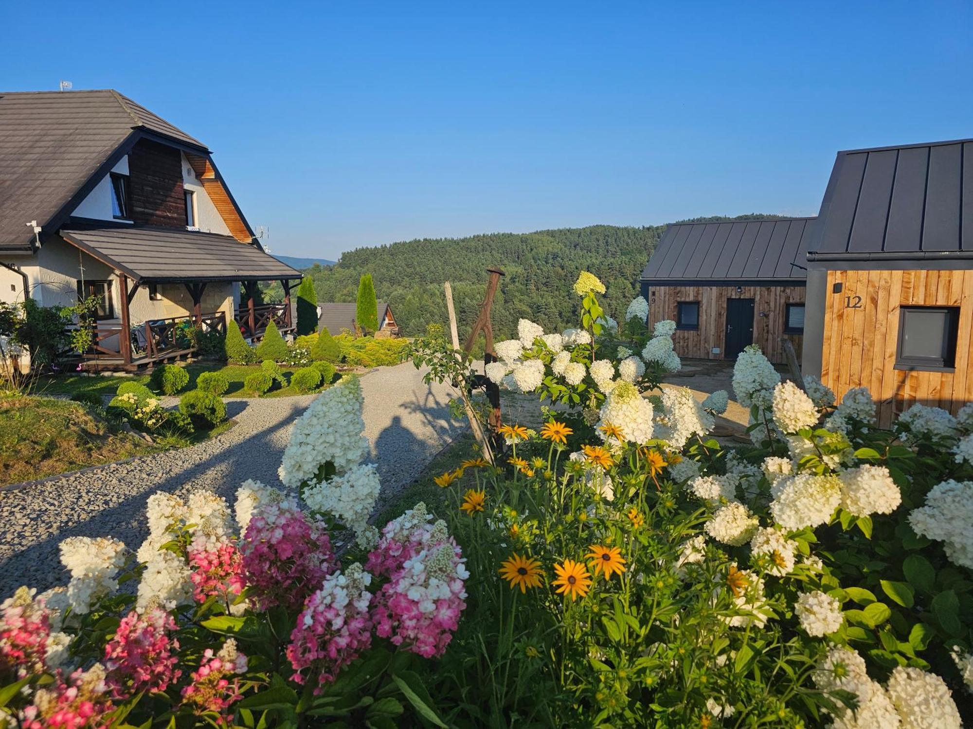 Chata W Bieszczadzie Apartamenty I Domki Z Sauna Bieszczady Polanczyk Exterior photo